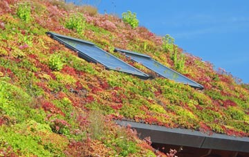 Bellway living roof systems